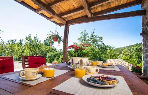 Guest house 'Villa Fani' Veprinac with jacuzzi