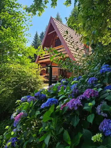 Twin Forest, riverside cabin