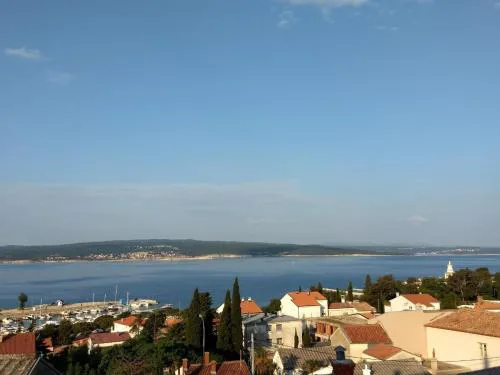 The view
