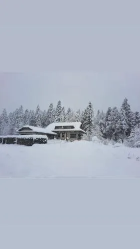 LYNX HOUSE