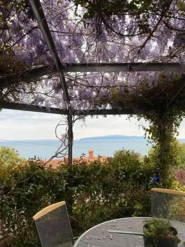 Kvarner Vista Apartment Hana