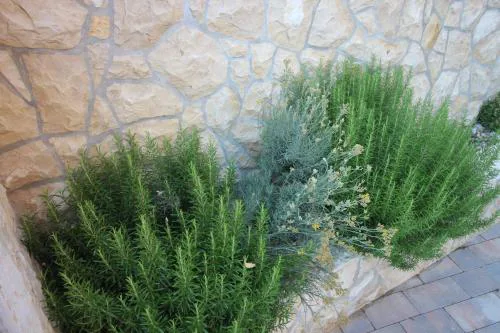 Apartmani Irena