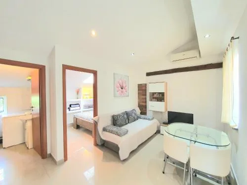 Apartments Ascic