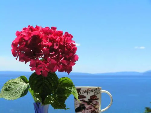 Guest House Lifestyle Holiday
