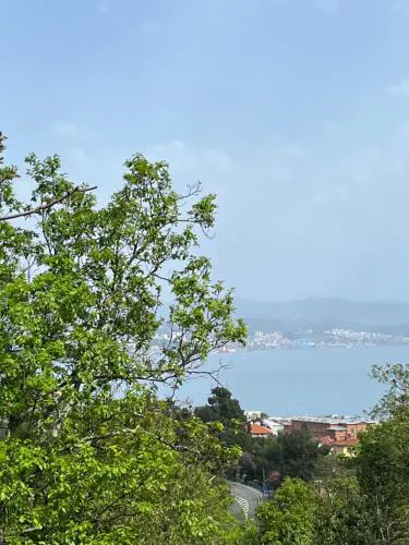 Vista Adriatic