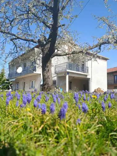 Apartman Francesca