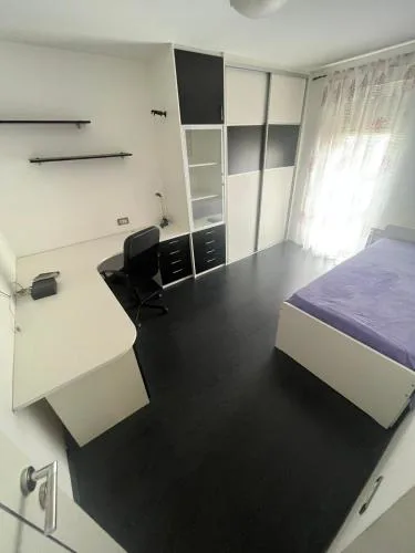 Žic