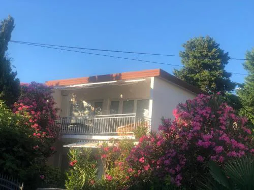 Apartmani Focic