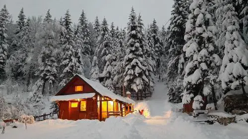 Chalet Woody