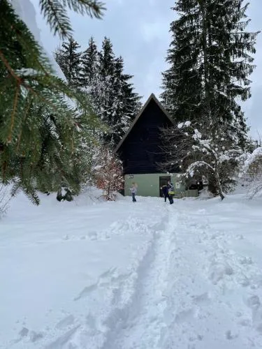 Romantic Forest House Tršće