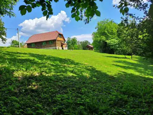Bakina iža