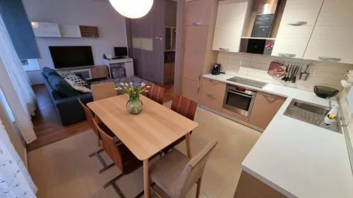 MINT Apartment