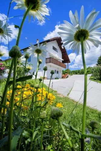 Apartment Bastaja