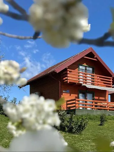 Resort Dudukovic 1