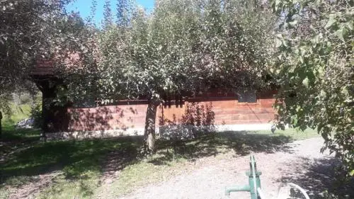 Stara hiža