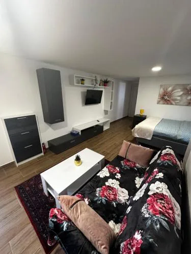 Apartment Radić 1