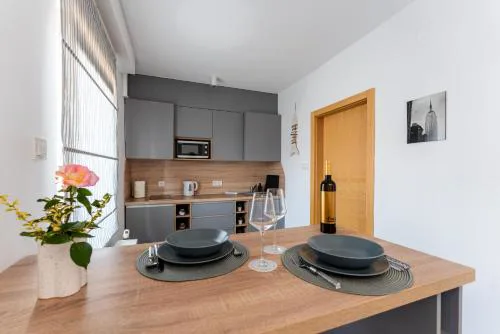 Studio apartman the LITTLE PRINCE apartmani Borik