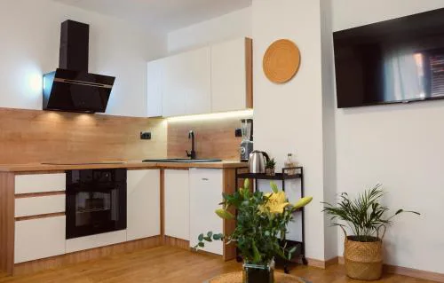 Apartman Luka