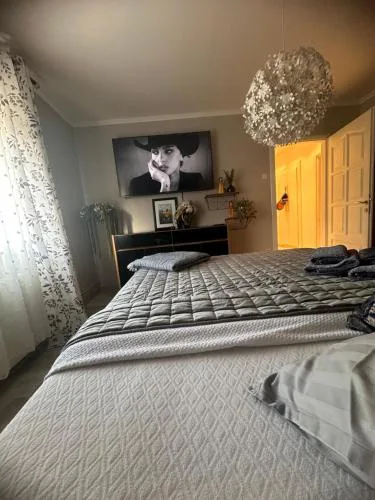 Apartman Pannonica Pin 0-24h
