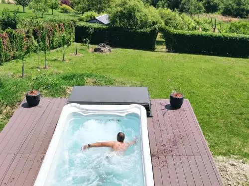 Villa Wolf Castle - vanjski grijani bazen 365 dana i pet friendly