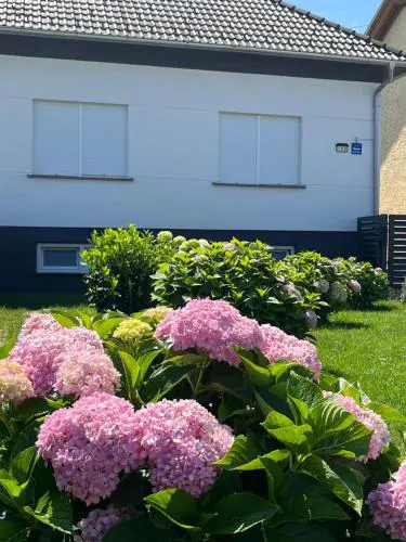 Apartman Kuća 150