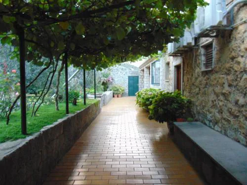 Villa Jelka Apartment