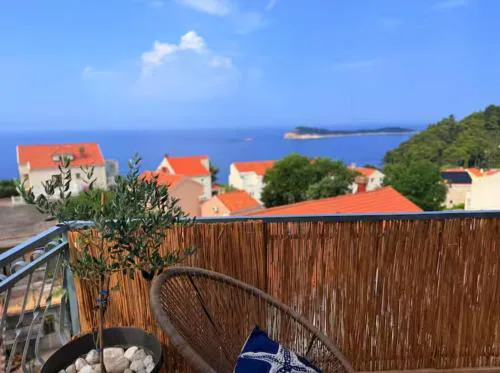 Sea view house Cavtat
