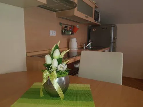 Apartment Jana