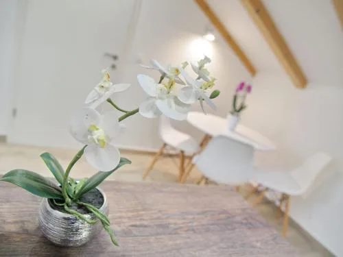 Apartments Sweet Escape - Studio Apartment with Terrace and Sea View 1