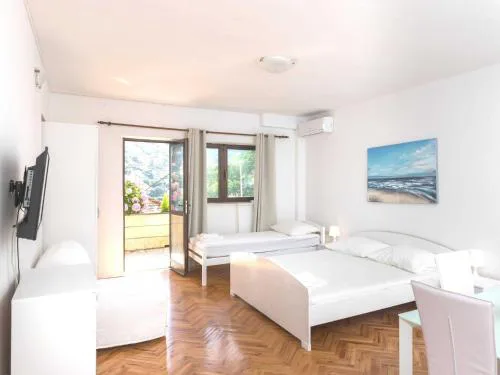House Apartments Ariva - Studio Apartment with Balcony 3 Adults - A1