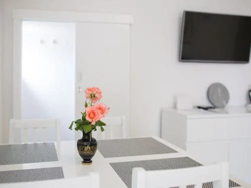 Serious Job Apartment - One Bedroom Apartment with Shared Terrace ve i
