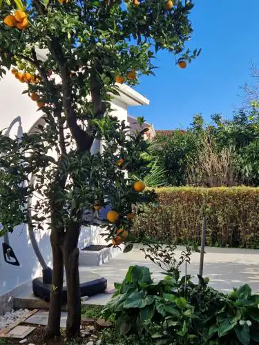 DOWNTOWN GARDEN