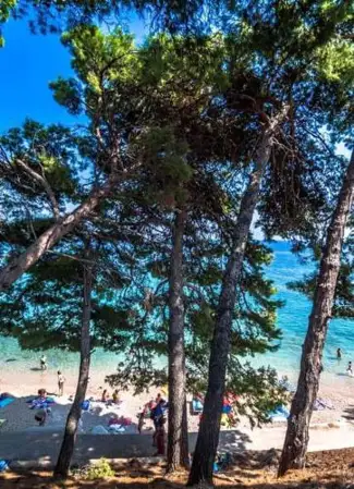 Apartmani Sonja