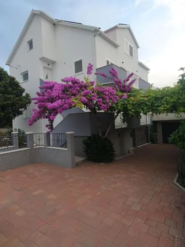 Apartment Bozovic