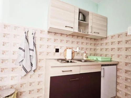 Apartments eljka - Studio Apartment with Terrace and a sea view 2