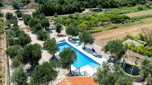 Olive Grove House