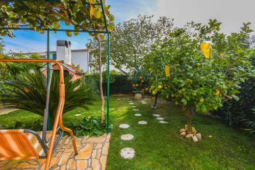 Apartments Ivancic