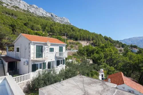 Apartments Djani