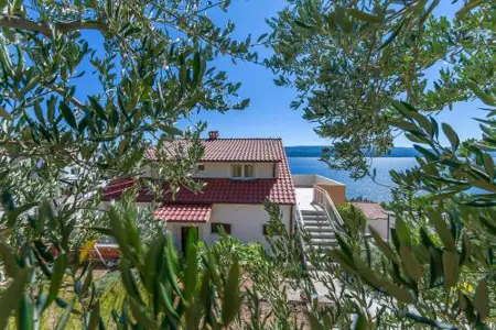 Apartments Dragana