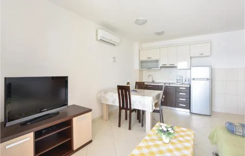Apartment Zavode V