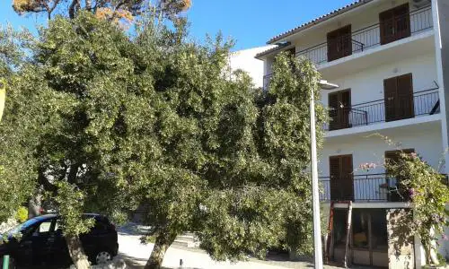 Apartments with parking space Brela, Makarska - 20007