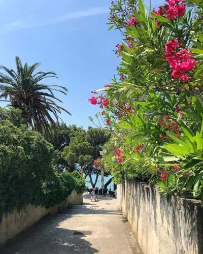 Apartman SARA GALILEO BLIZU PLAZE