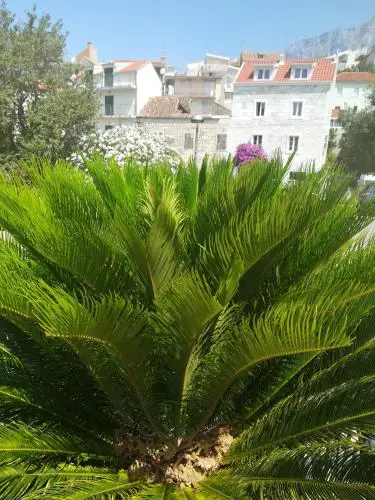 Apartmani kike