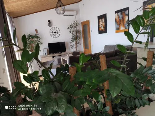 Apartment Burich