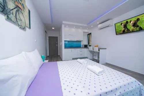 Apartment Roso