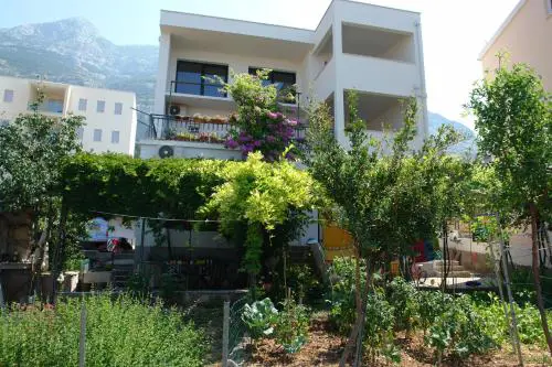 Apartments Matej