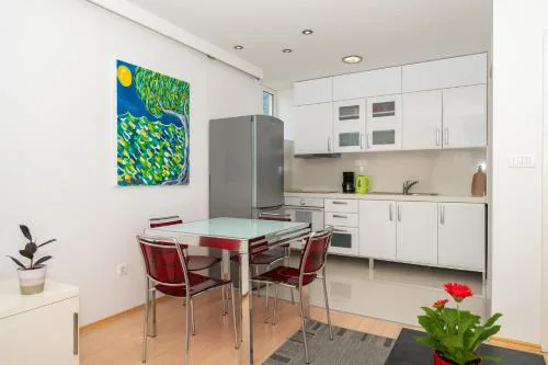 Luxury apartment Silvana in the city center