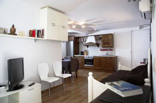 Apartment Roko