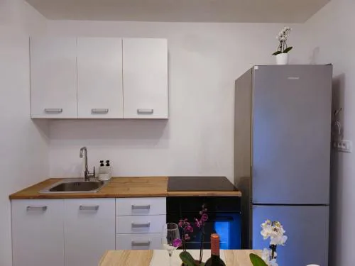Apartment Smokvica