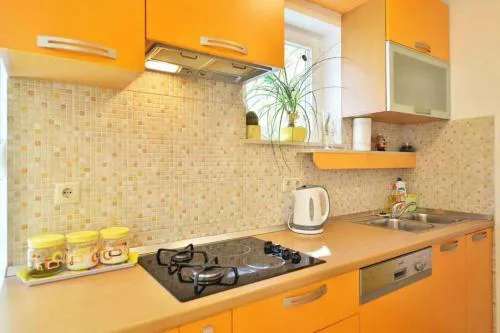 Apartment Vicko